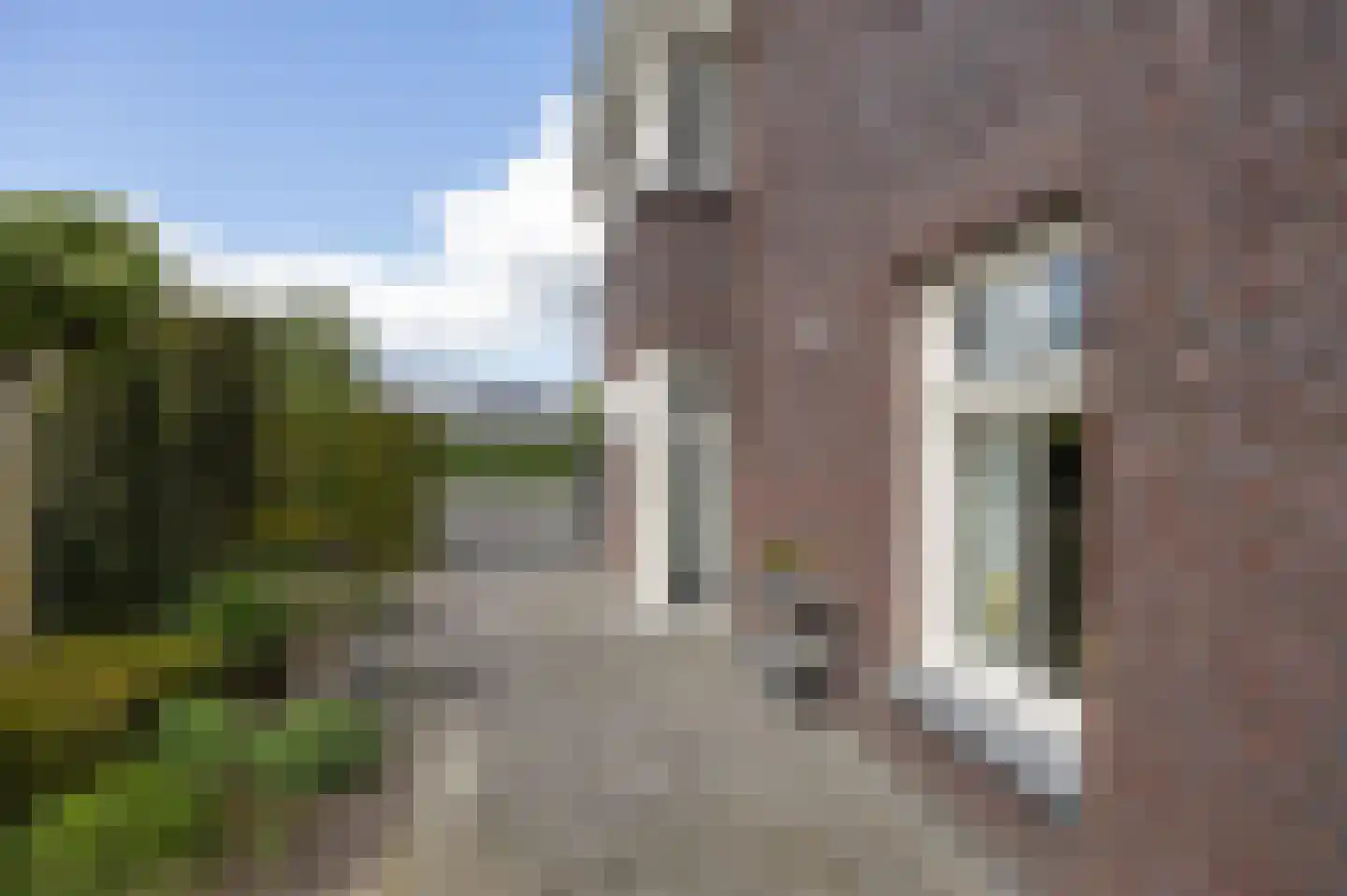 Elsanta 20 St. Willebrord thumbnail 66