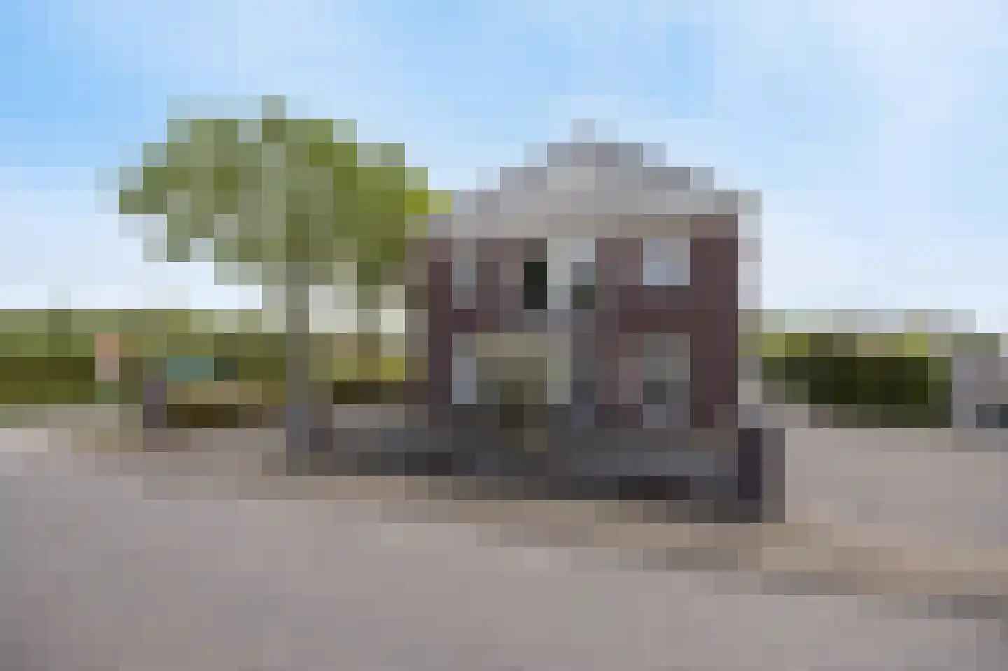Elsanta 20 St. Willebrord thumbnail 70