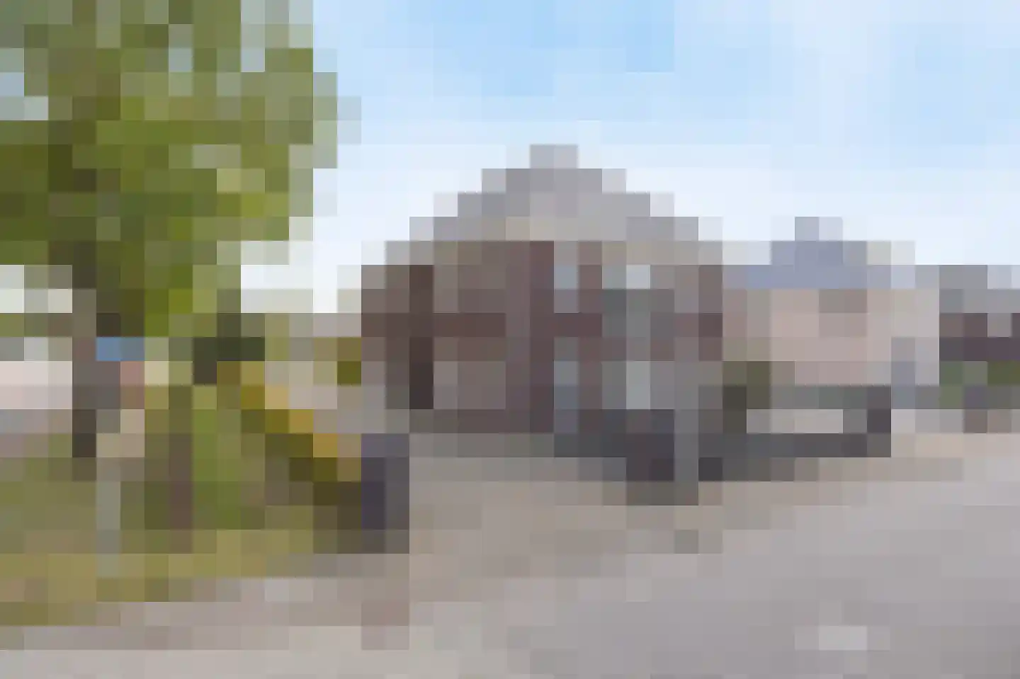 Elsanta 20 St. Willebrord thumbnail 75