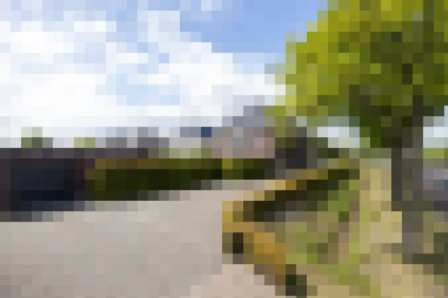 Elsanta 20 St. Willebrord thumbnail 79