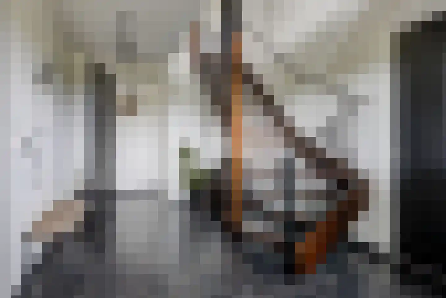 Elsanta 20 St. Willebrord thumbnail 8