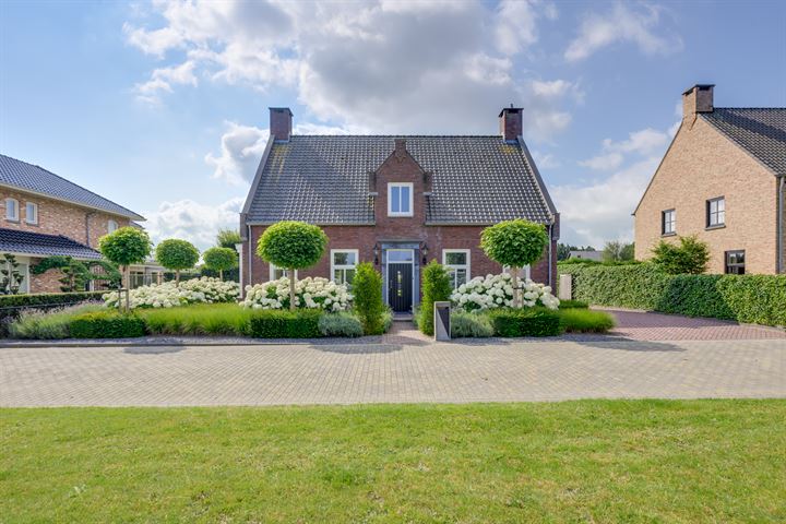 Photo de la maison Elsanta 4, St. Willebrord