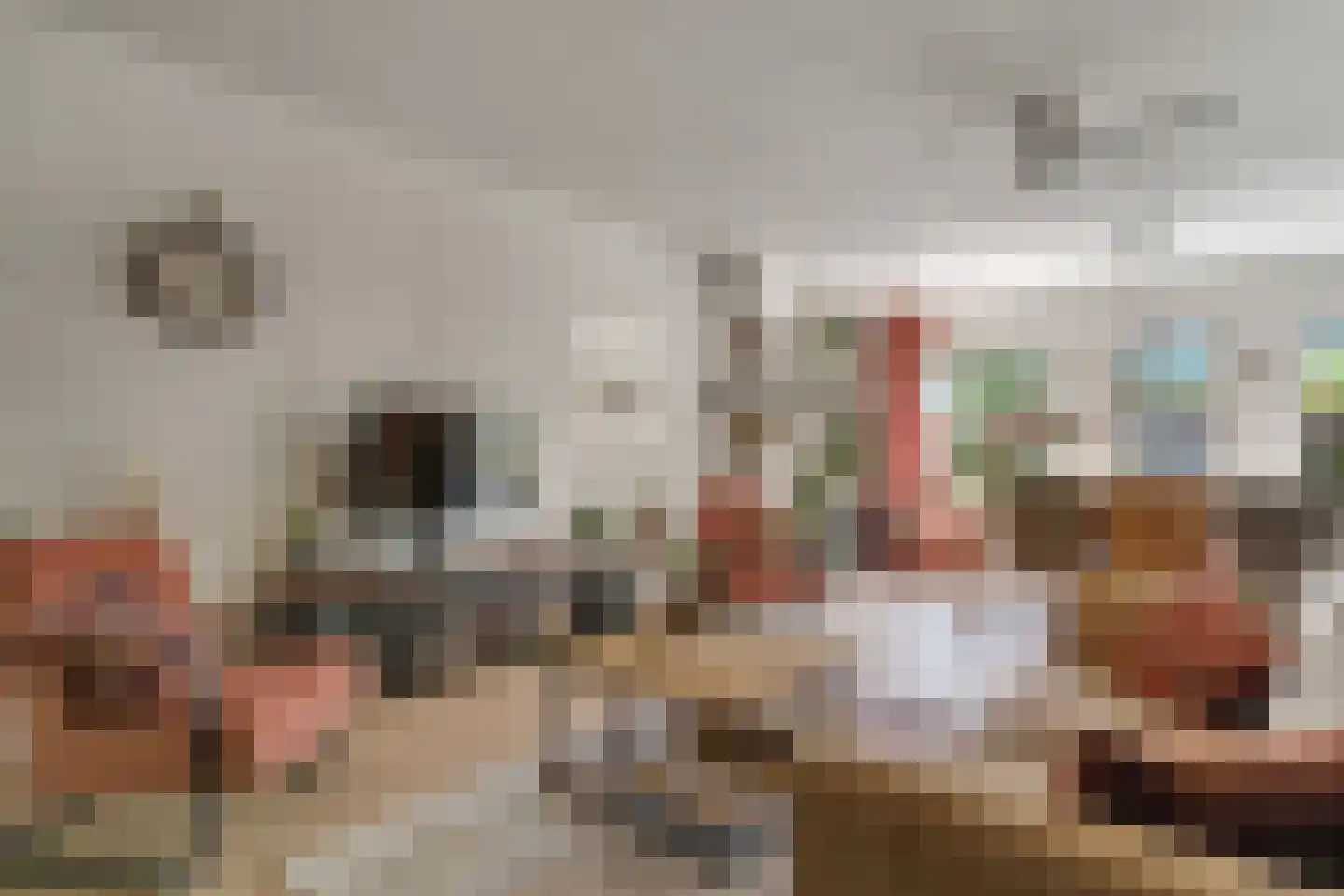 Elsbeek 17 Zwolle thumbnail 5