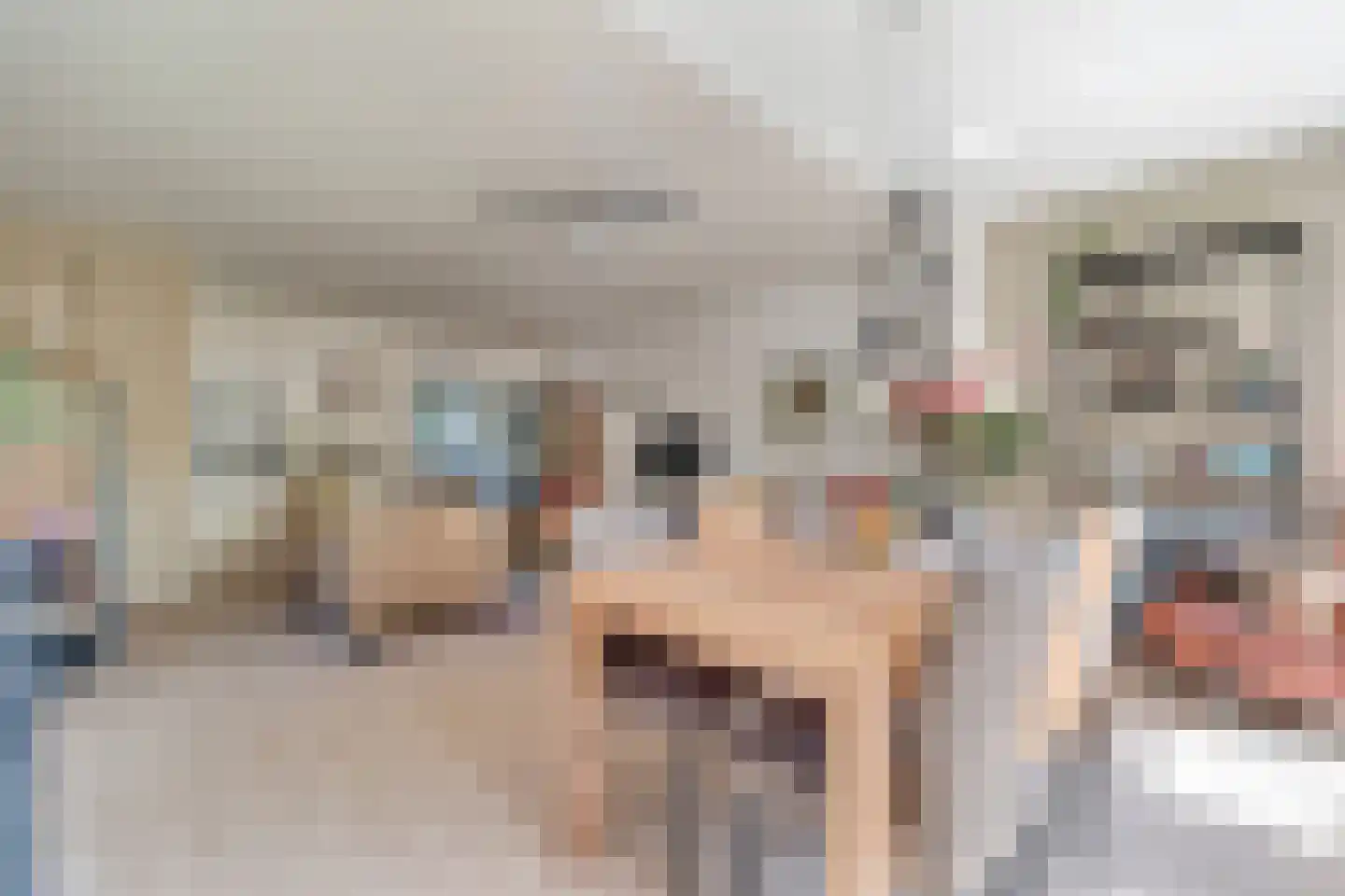 Elsbeek 17 Zwolle thumbnail 7