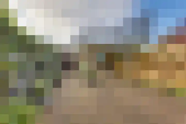 Elsbeek 19 Zwolle thumbnail 27