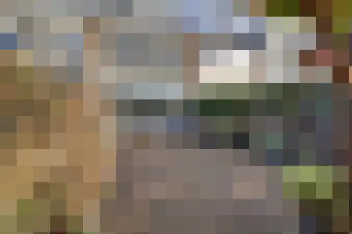 Elsbeek 19 Zwolle thumbnail 31