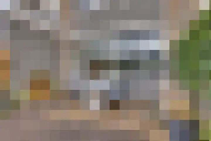 Elsbeek 19 Zwolle thumbnail 32
