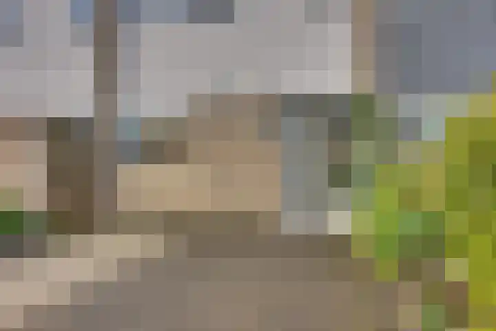 Elsbeek 19 Zwolle thumbnail 6