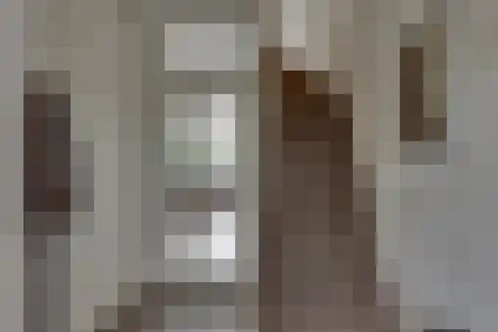 Elsbeek 19 Zwolle thumbnail 7