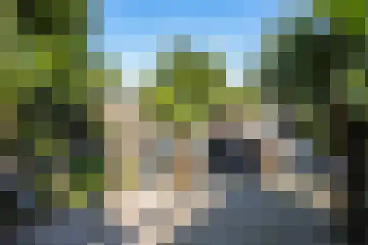 Elsbeek 26 Zwolle thumbnail 28