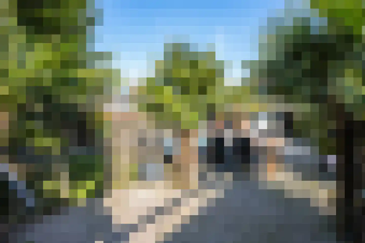 Elsbeek 26 Zwolle thumbnail 30