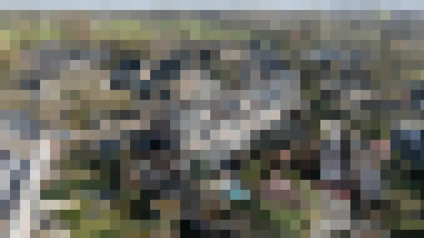 Elsbeek 26 Zwolle thumbnail 34