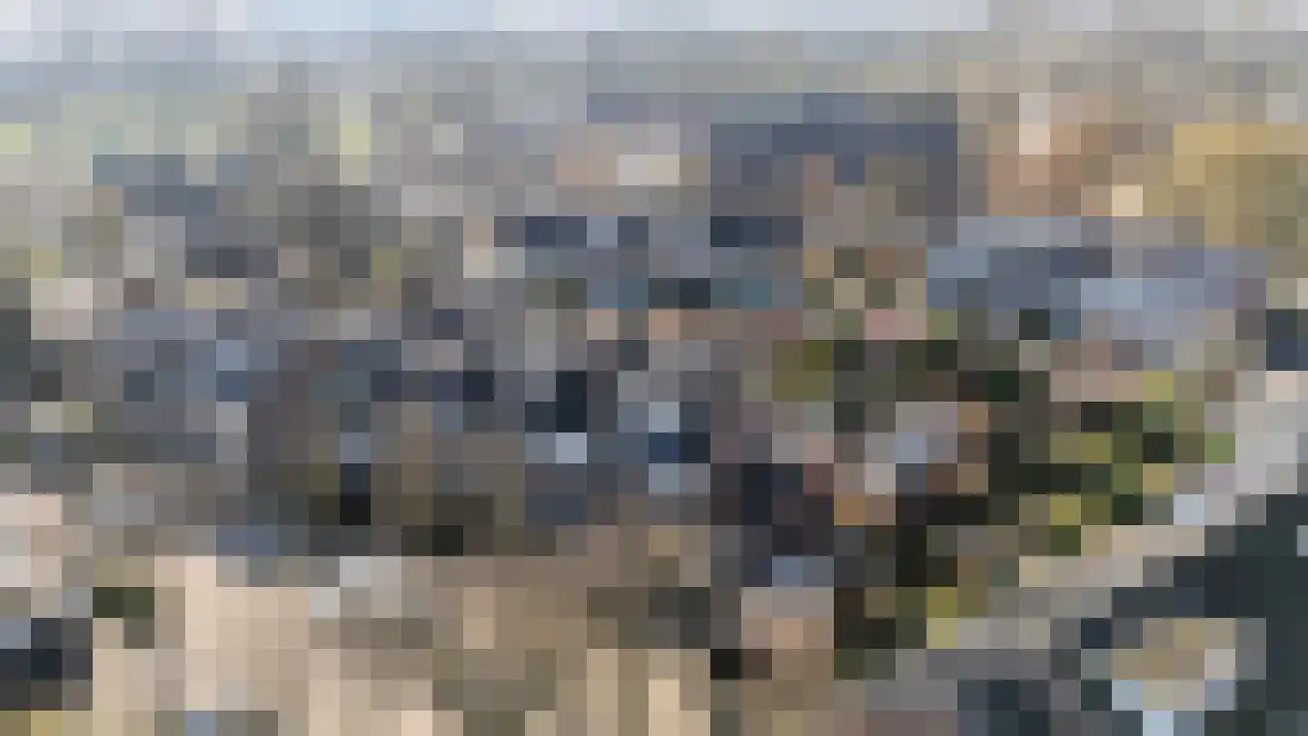 Elsbeek 26 Zwolle thumbnail 35