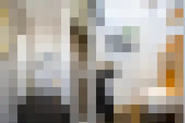 Elsbeek 26 Zwolle thumbnail 6