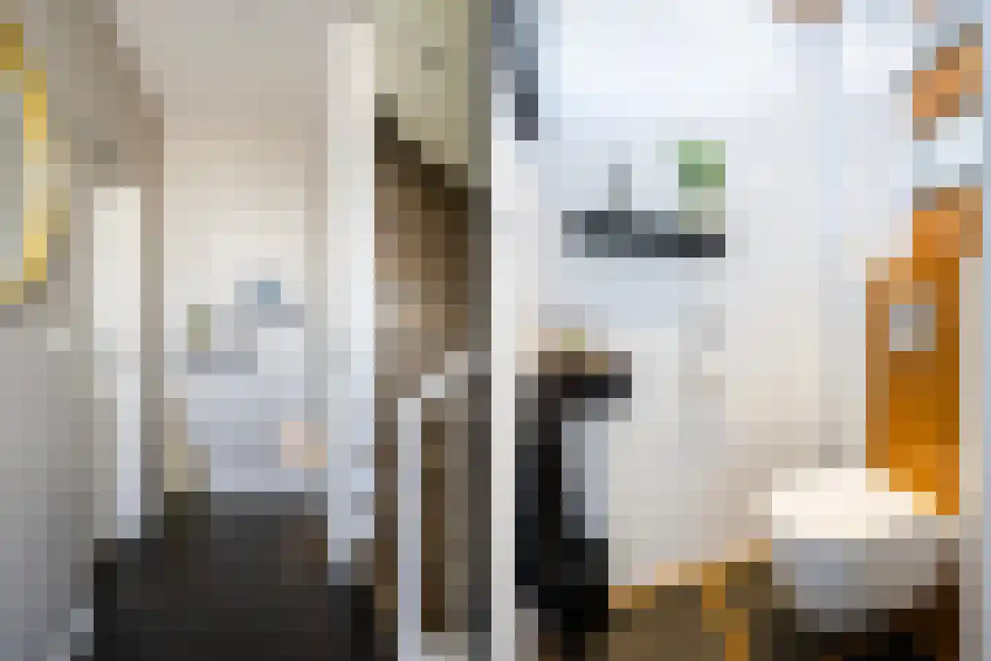 Elsbeek 26 Zwolle thumbnail 7
