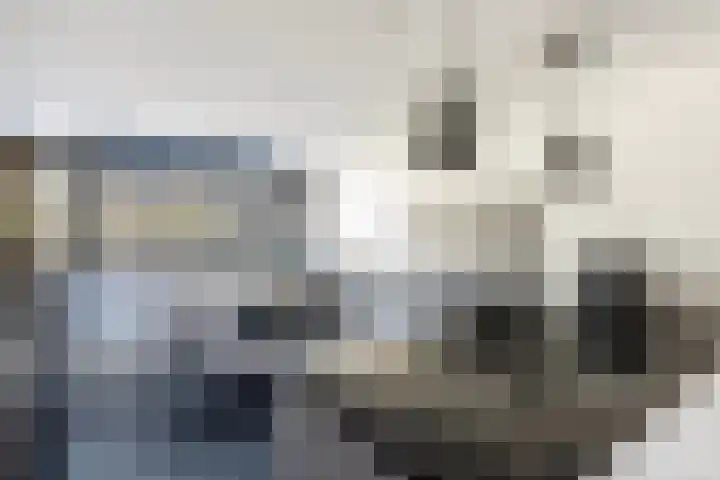 Elsbeek 26 Zwolle thumbnail 7