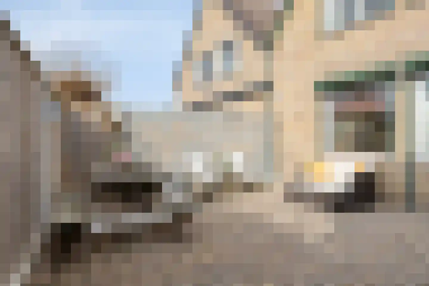 Elsbeekweg 48 Hengelo thumbnail 27