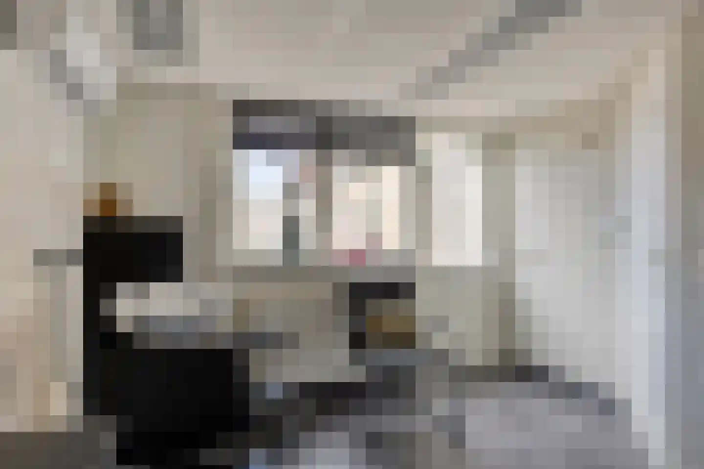 Elsbeekweg 48 Hengelo thumbnail 31