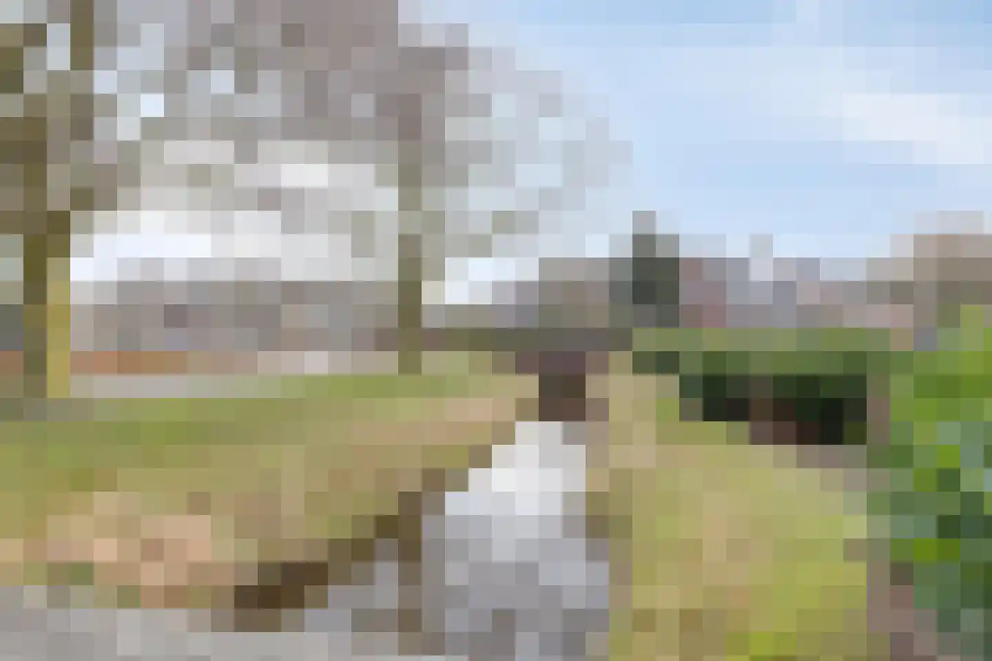 Elsbeekweg 48 Hengelo thumbnail 33