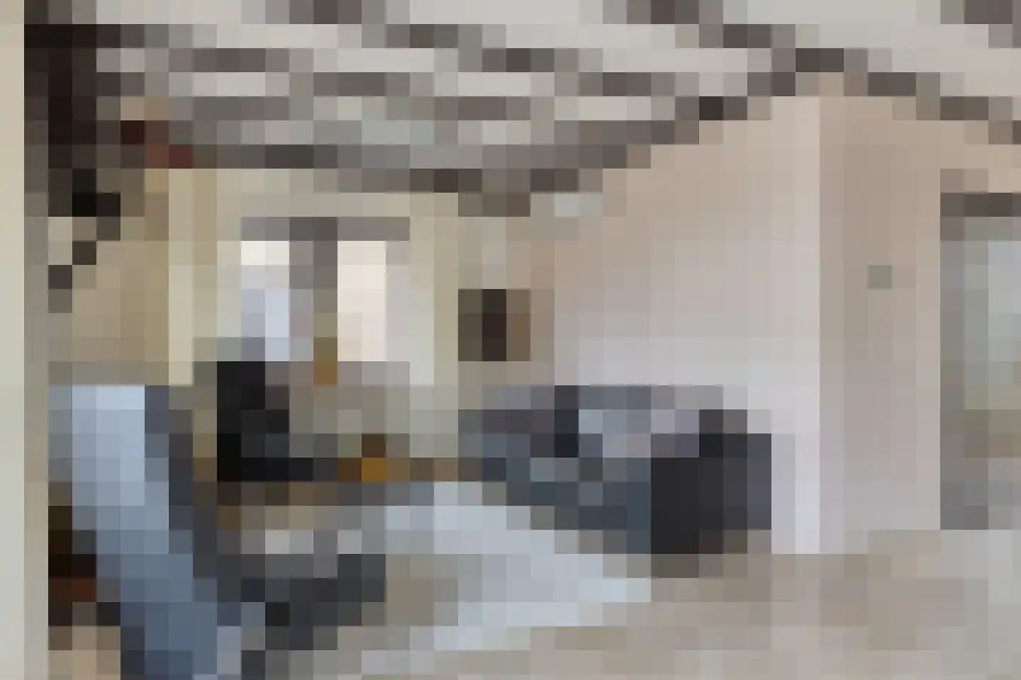 Elsbeekweg 48 Hengelo thumbnail 8