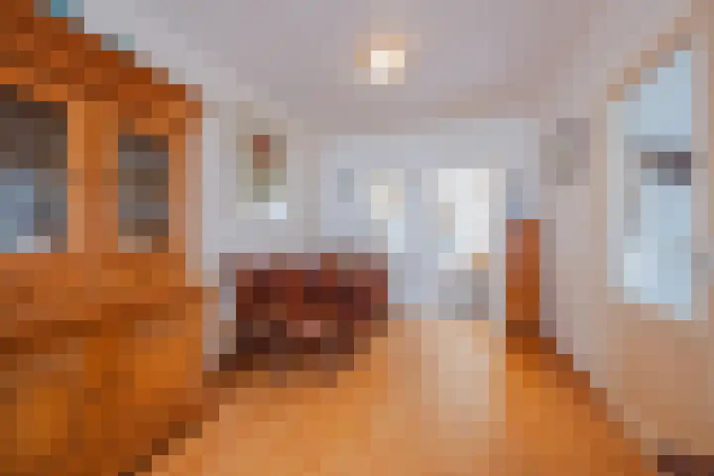 Elsbeemden 13 Horst thumbnail 14