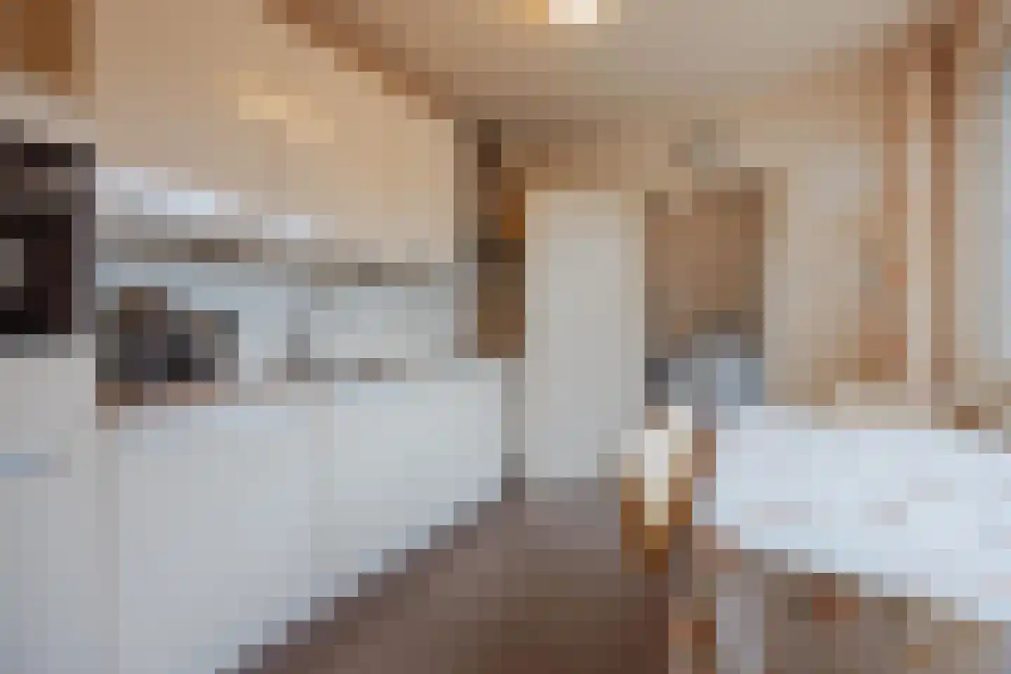 Elsbeemden 13 Horst thumbnail 16