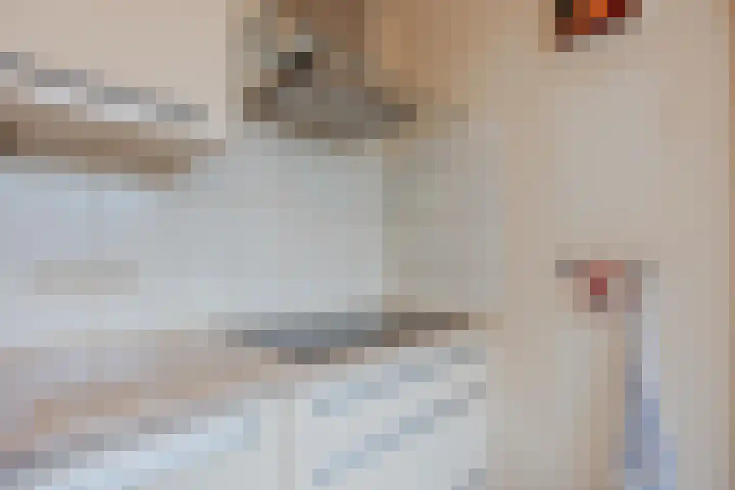 Elsbeemden 13 Horst thumbnail 18