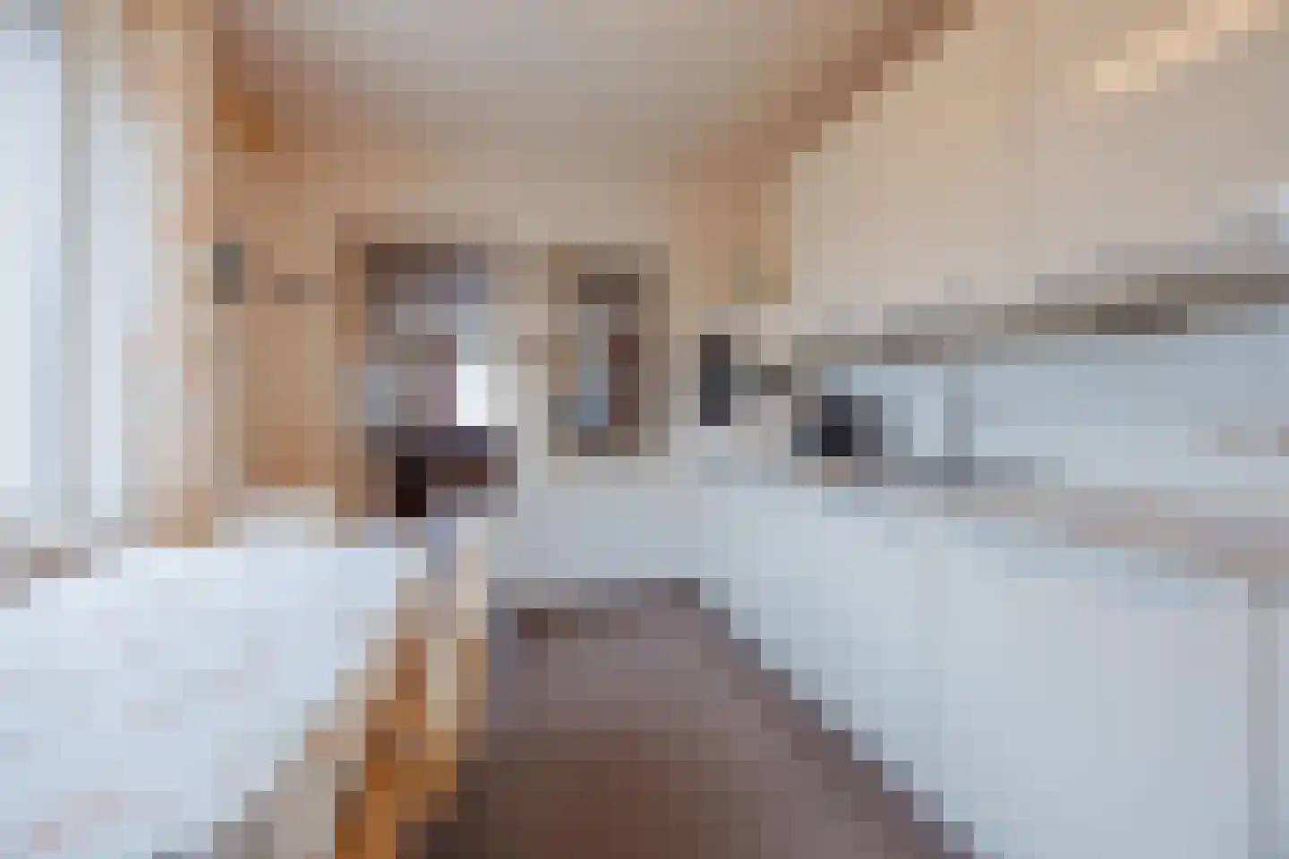 Elsbeemden 13 Horst thumbnail 5