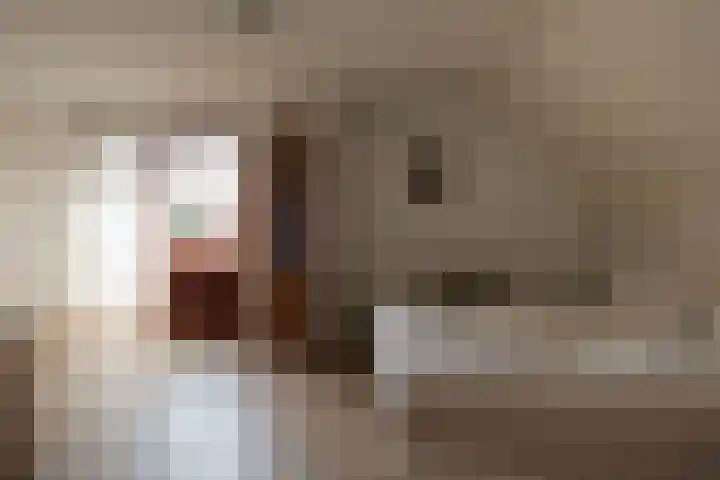 Elsbeemden 4 Horst thumbnail 12