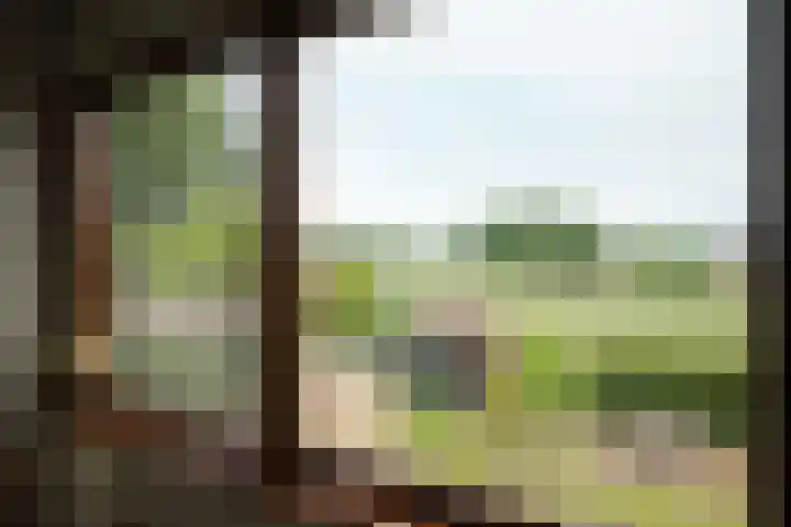 Elsbeemden 4 Horst thumbnail 14