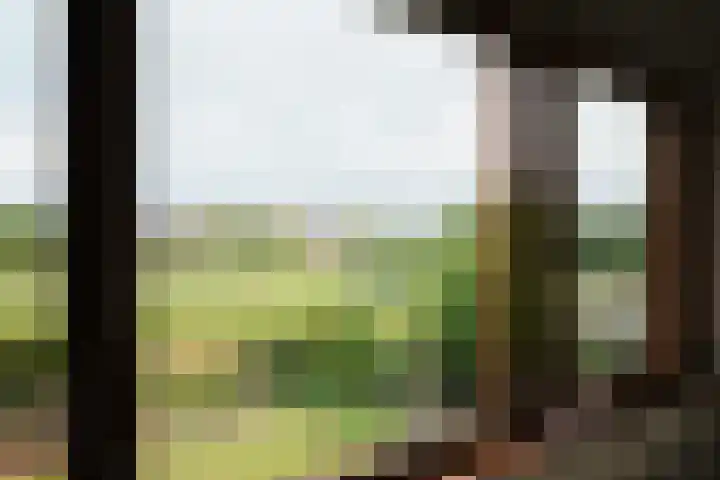 Elsbeemden 4 Horst thumbnail 15