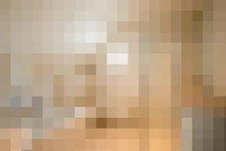 Elsbeemden 4 Horst thumbnail 16