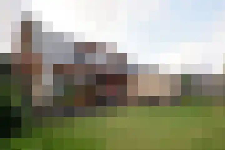 Elsbeemden 4 Horst thumbnail 17