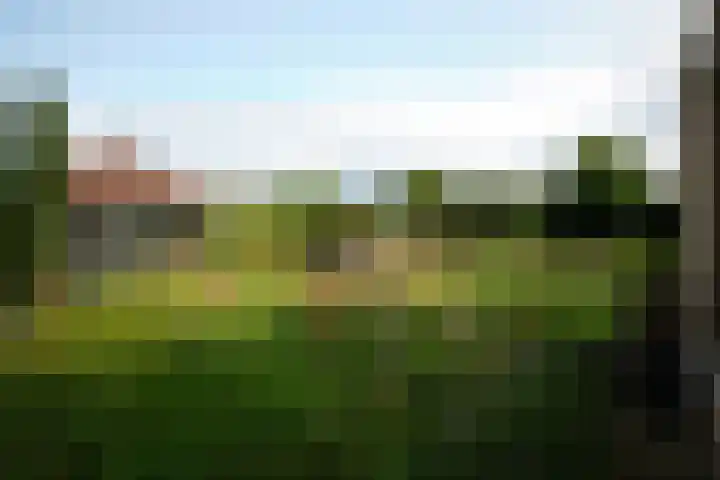 Elsbeemden 4 Horst thumbnail 20