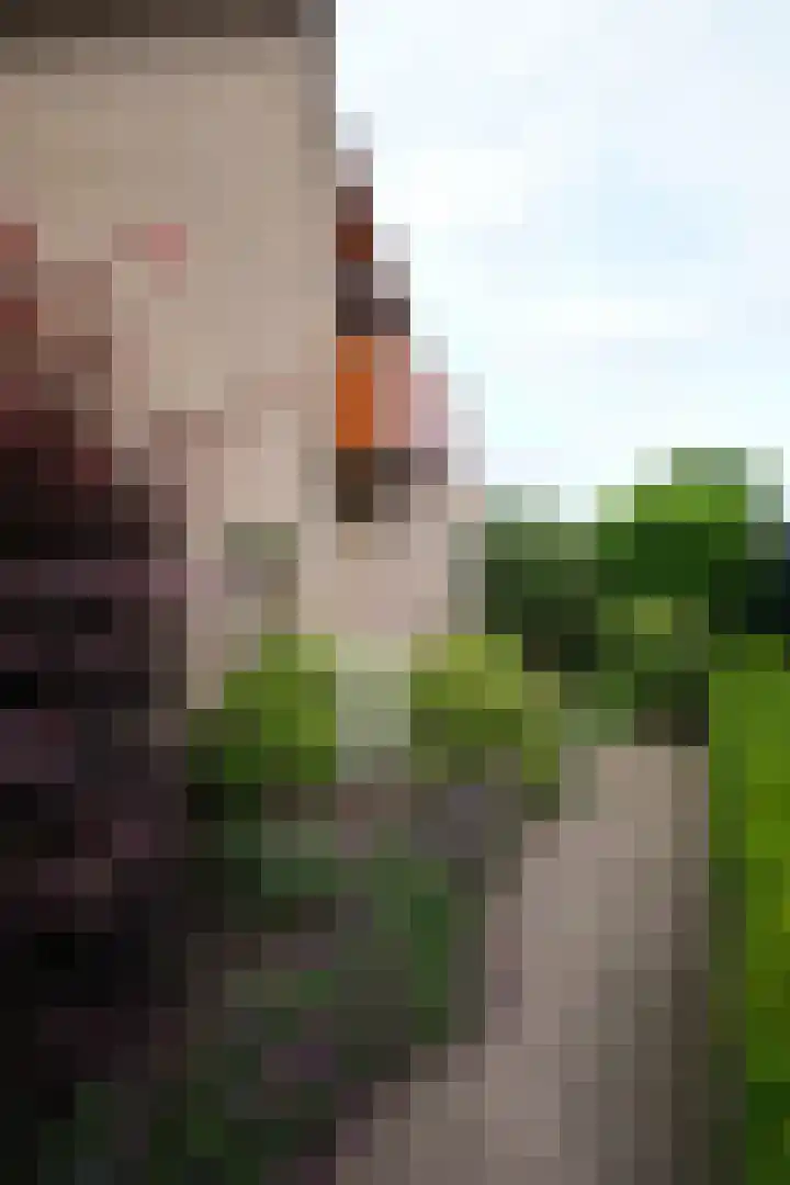 Elsbeemden 4 Horst thumbnail 22