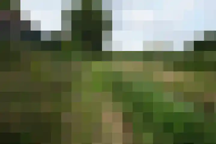 Elsbeemden 4 Horst thumbnail 23