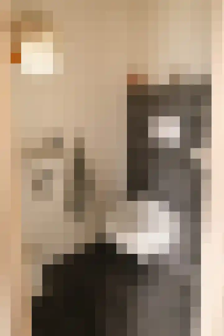 Elsbeemden 4 Horst foto 3