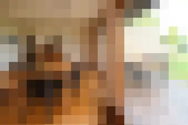 Elsbeemden 4 Horst thumbnail 7