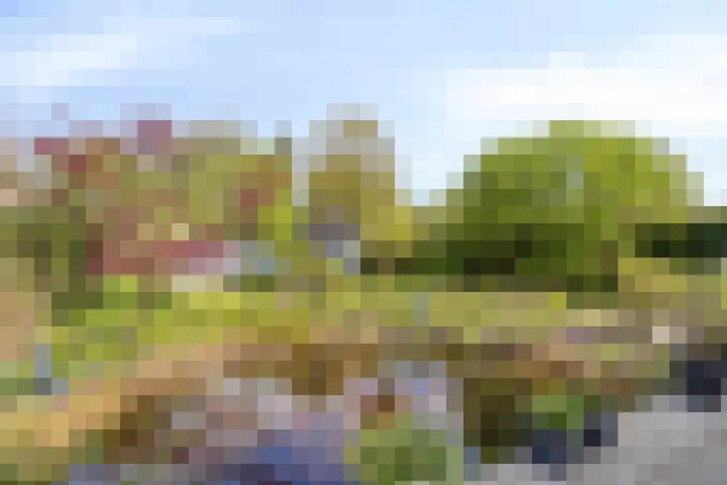 Elsbeen van Baerlestraat 22 Helmond thumbnail 39