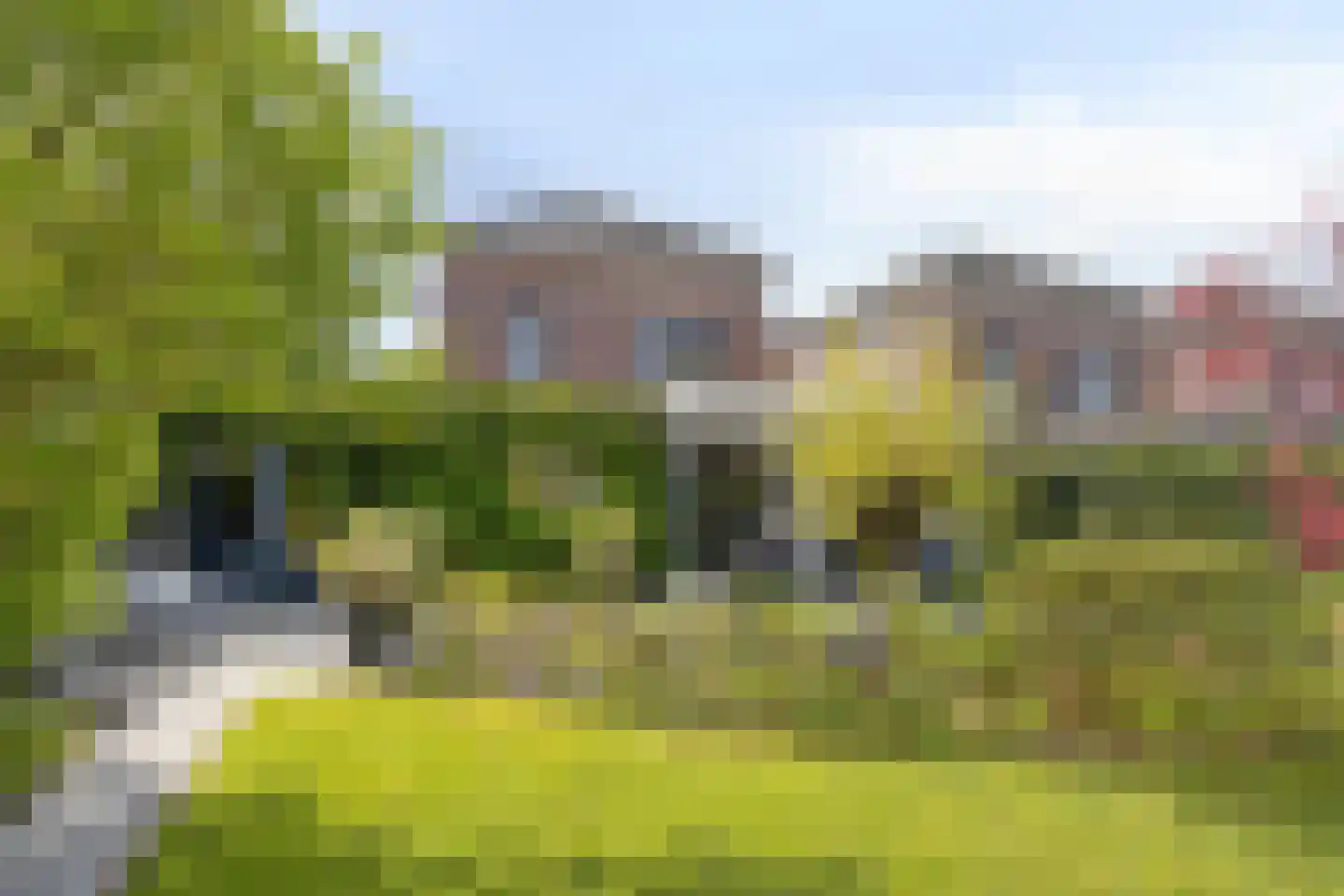 Elsbeen van Baerlestraat 22 Helmond thumbnail 48