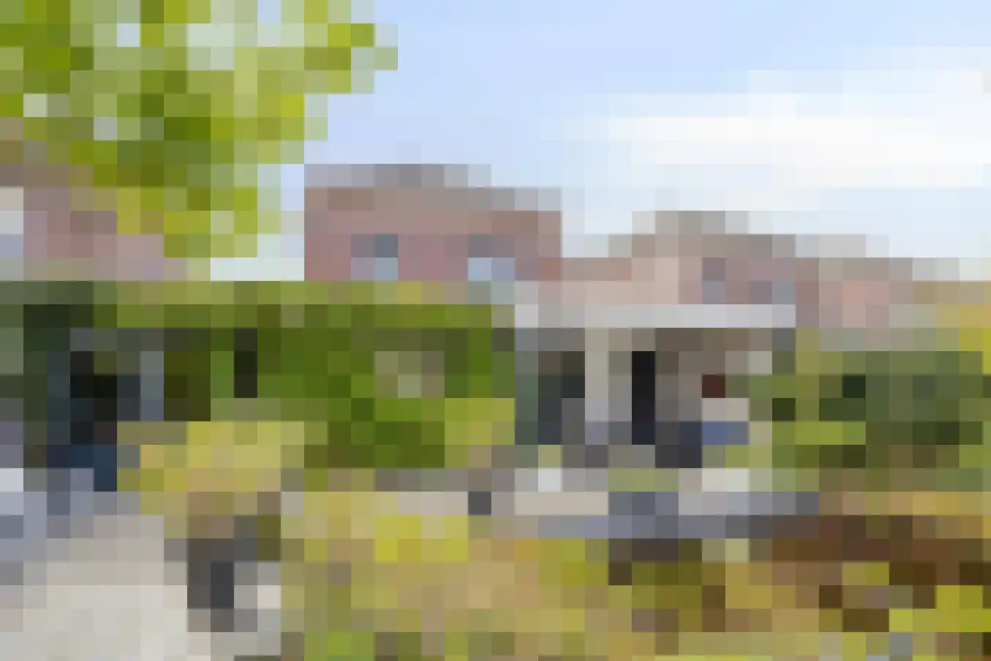 Elsbeen van Baerlestraat 22 Helmond thumbnail 49
