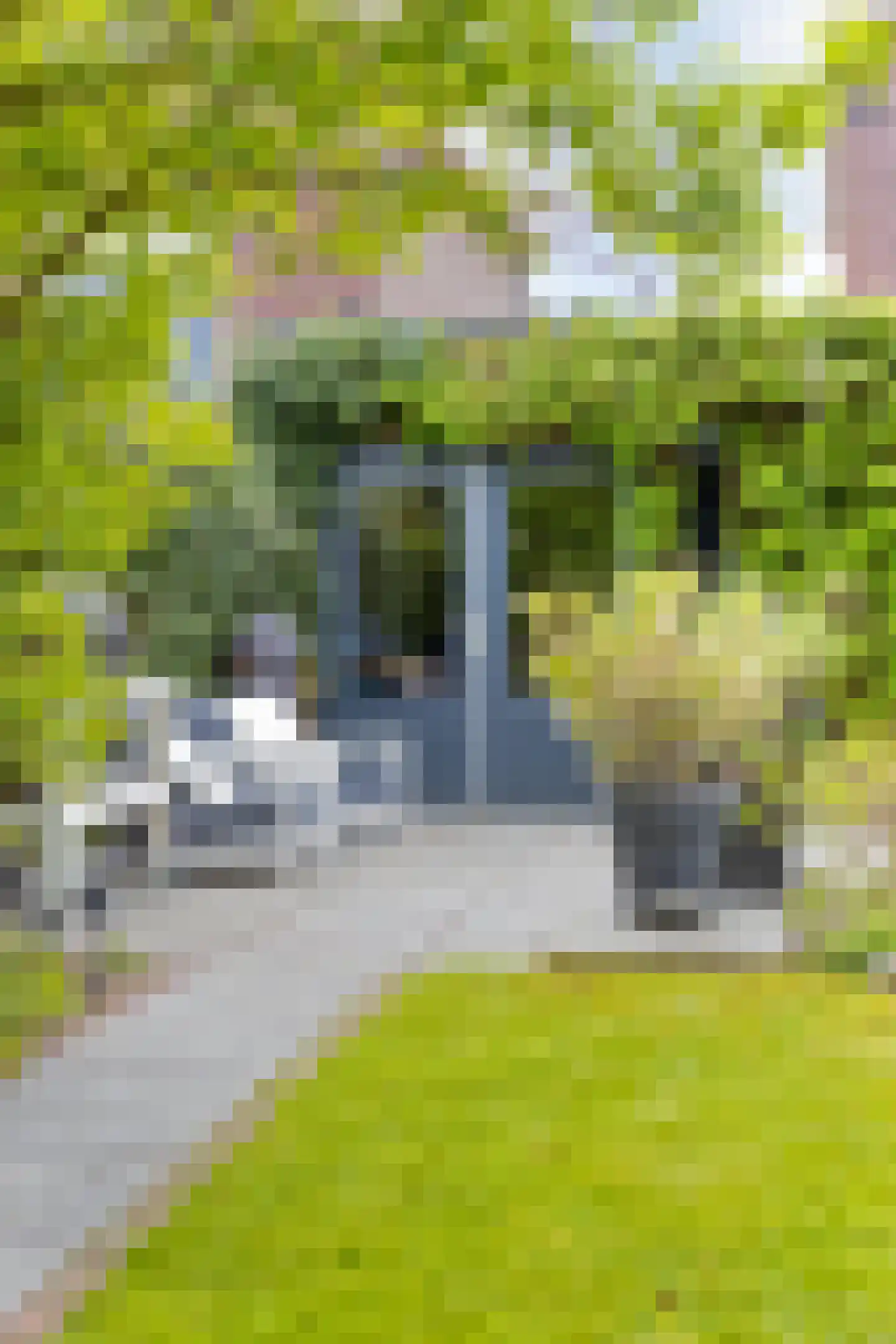Elsbeen van Baerlestraat 22 Helmond thumbnail 53