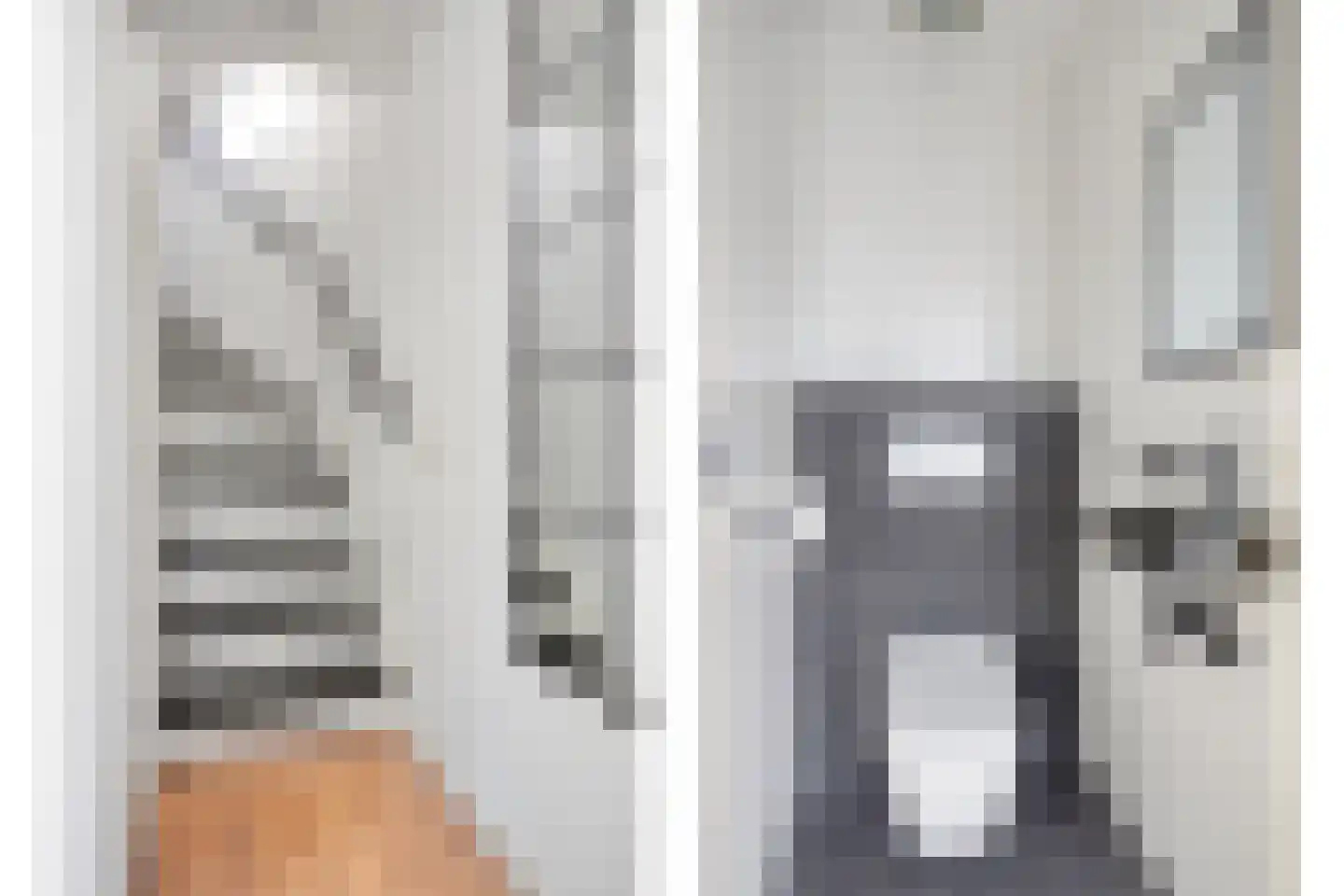 Elsbeen van Baerlestraat 22 Helmond thumbnail 8
