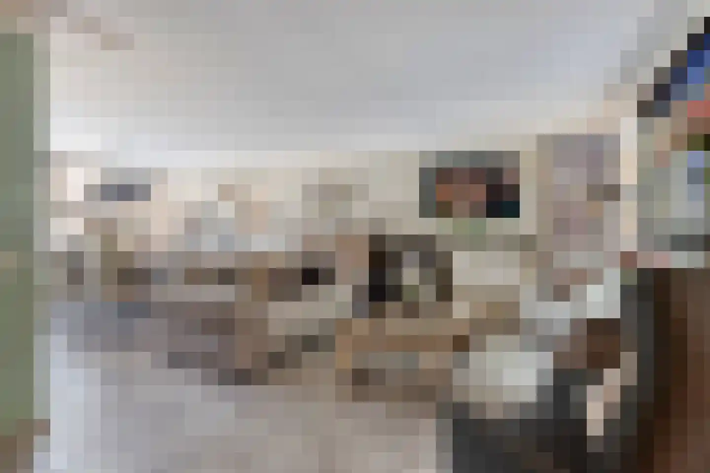 Elsbeen van Baerlestraat 26 Helmond thumbnail 15