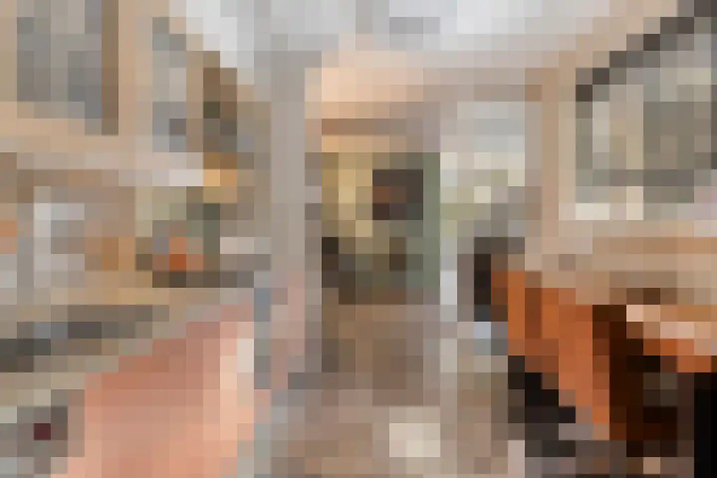 Elsbeen van Baerlestraat 26 Helmond thumbnail 21