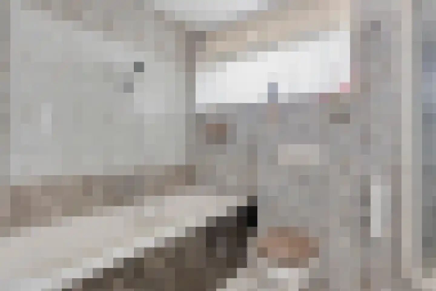 Elsbeen van Baerlestraat 26 Helmond thumbnail 31