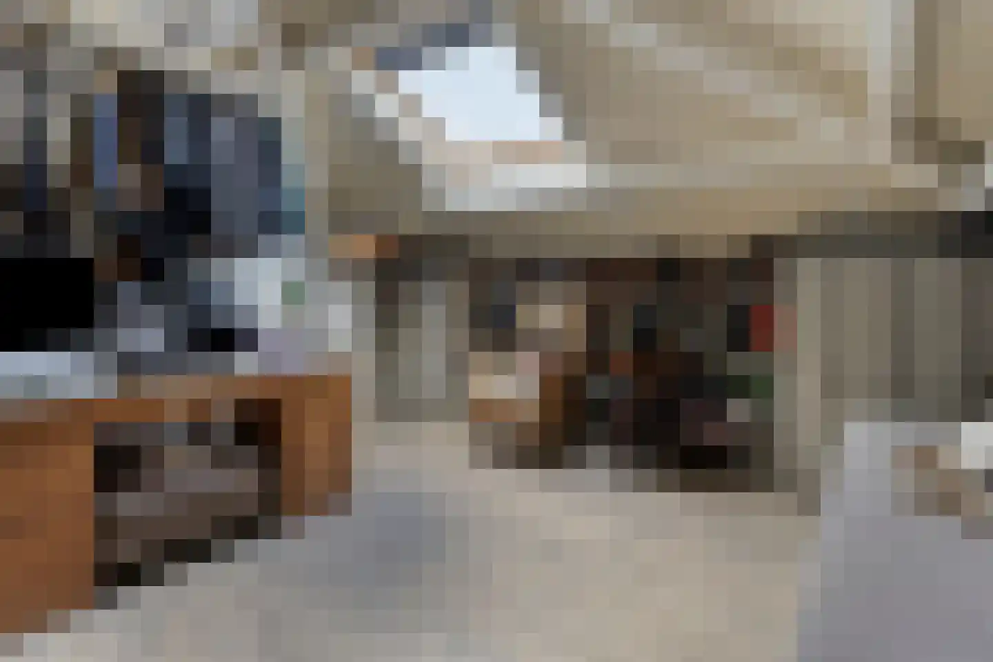 Elsbeen van Baerlestraat 26 Helmond thumbnail 33