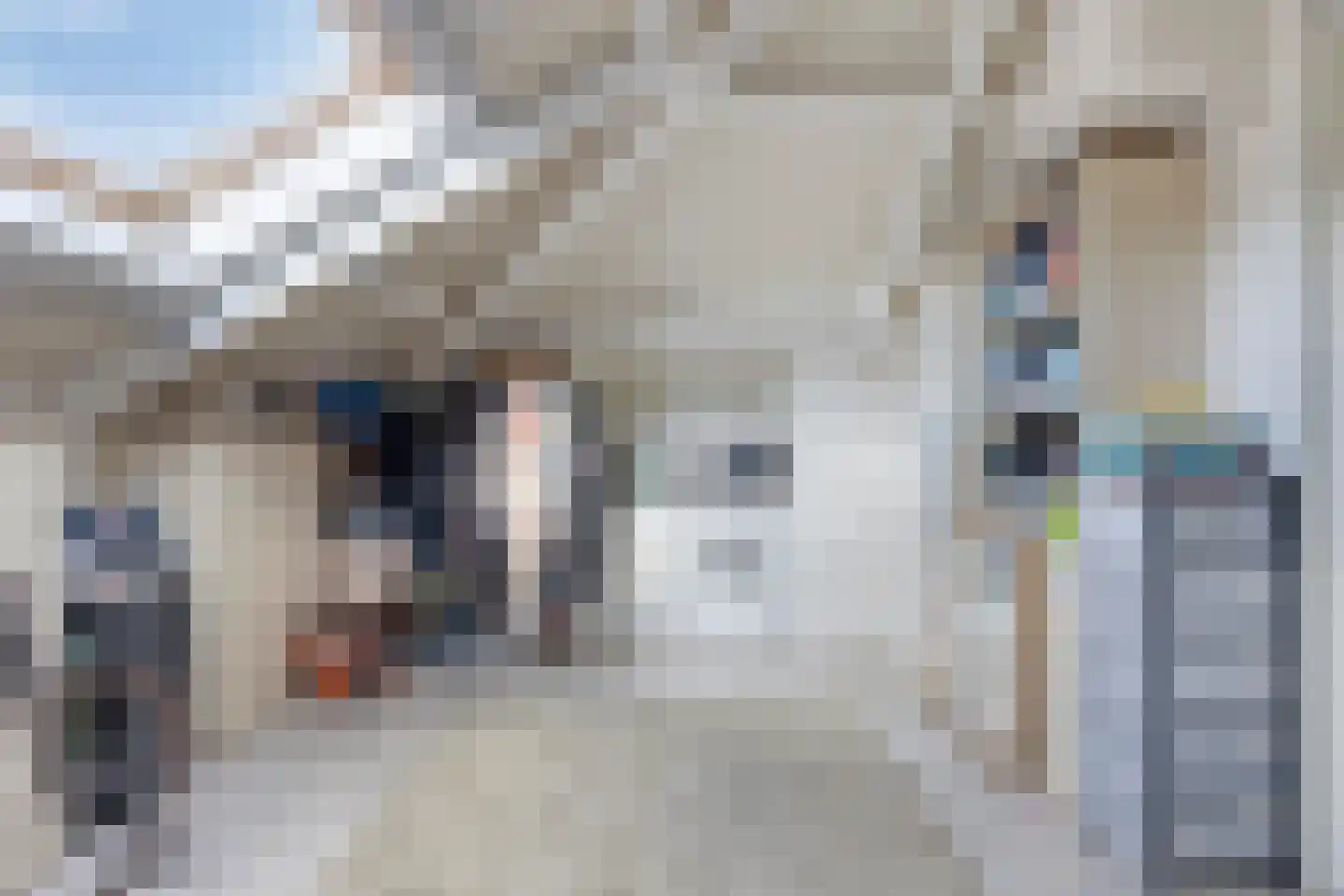Elsbeen van Baerlestraat 26 Helmond thumbnail 36