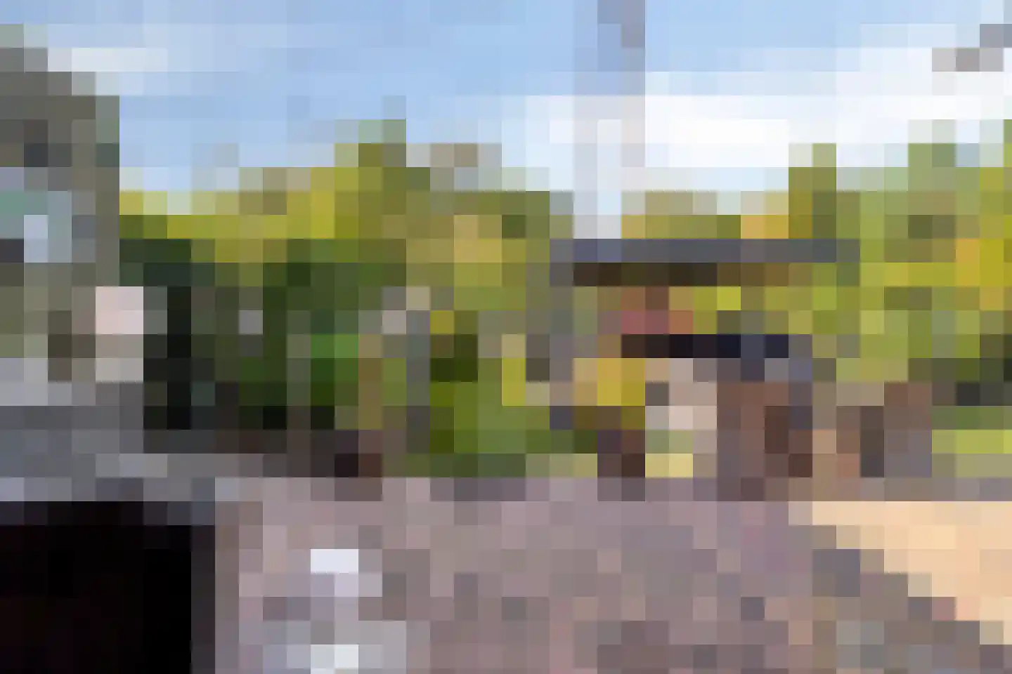 Elsbeen van Baerlestraat 26 Helmond thumbnail 39