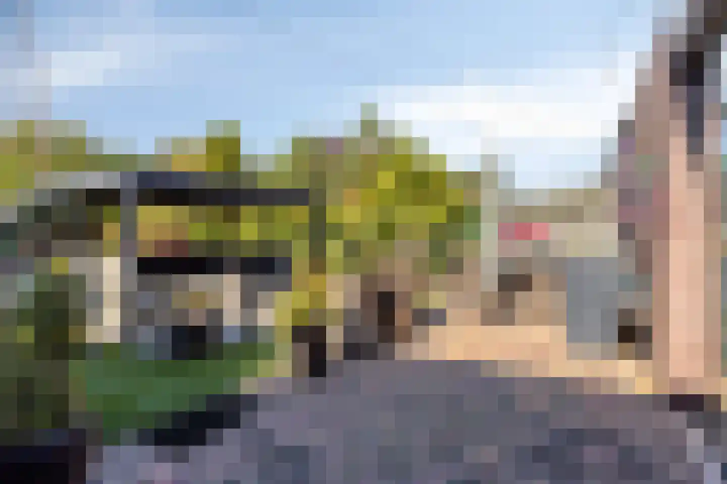 Elsbeen van Baerlestraat 26 Helmond thumbnail 40